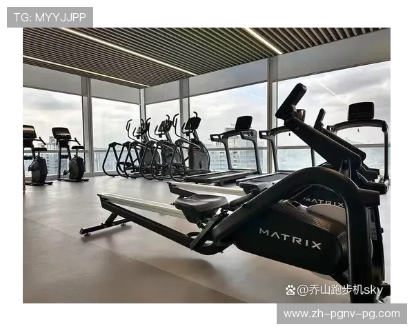 室内健身器材厂家推荐:值得信赖的制造商与品牌